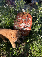 Huggy Bear Male Golden Cavadoodle $900