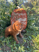 Ka-Mocha Female Golden Cavadoodle $900