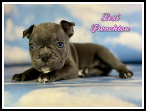 Frenchton