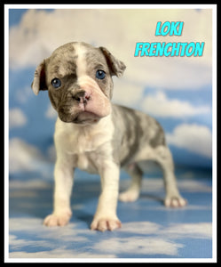 Frenchton