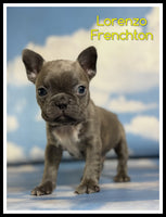 Lorenzo Male Frenchton $1925