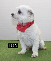Lucky Male Malshi $575