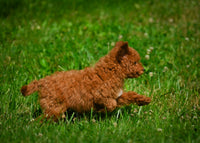Mini Goldendoodle