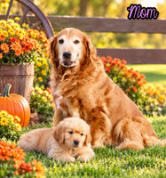 Brock Male AKC Golden Retriever $1999