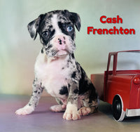 Cash Male Frenchton $1525