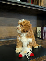 Cavapoo