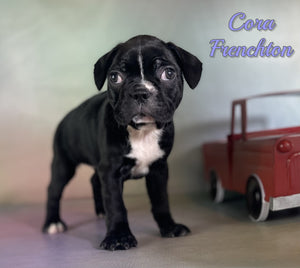 Frenchton
