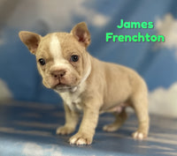 James Male Frenchton $1625