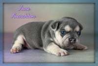 Jane Female ICA Frenchton $1925