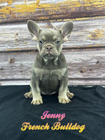 Jenny Female AKC French Bulldog $1500