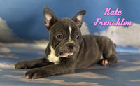 Kate Female Frenchton $1325