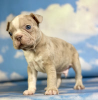 Frenchton