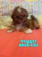 Shih-Chi