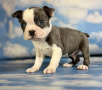 Frenchton