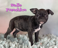 Frenchton