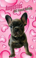 Augustus Male AKC French Bulldog $2500