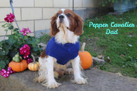 Charlie Male AKC Cavalier $895